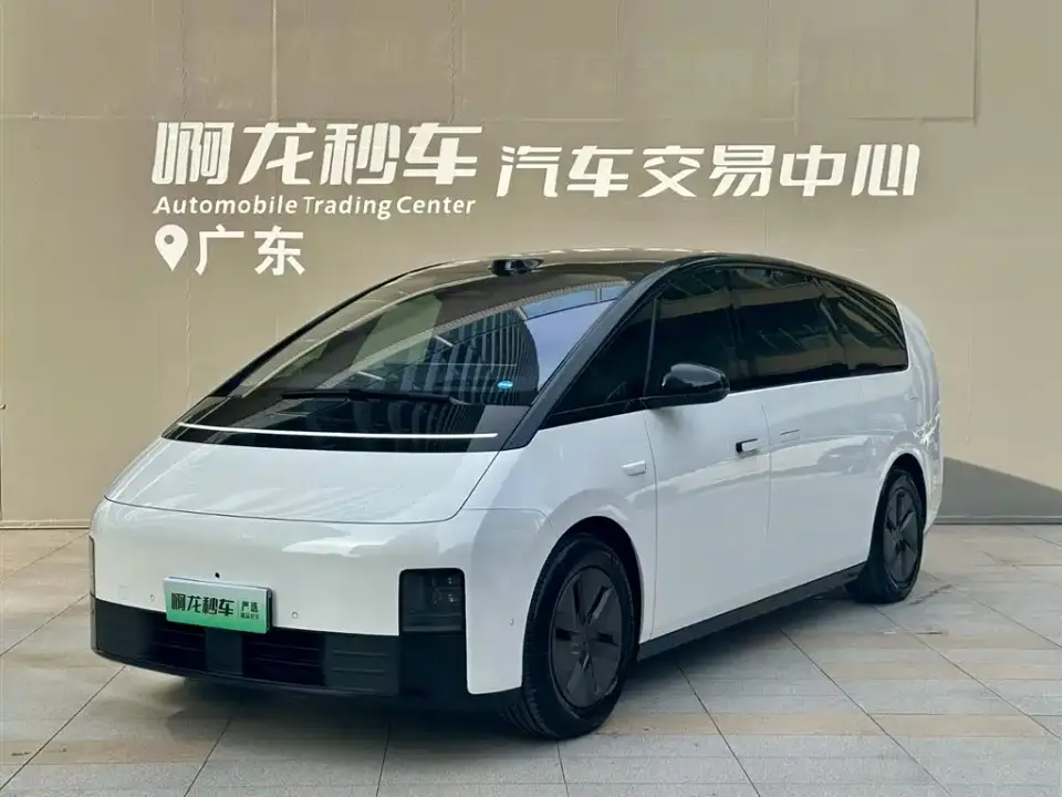 Li Auto MEGA Model Home Family Special Edition 2025