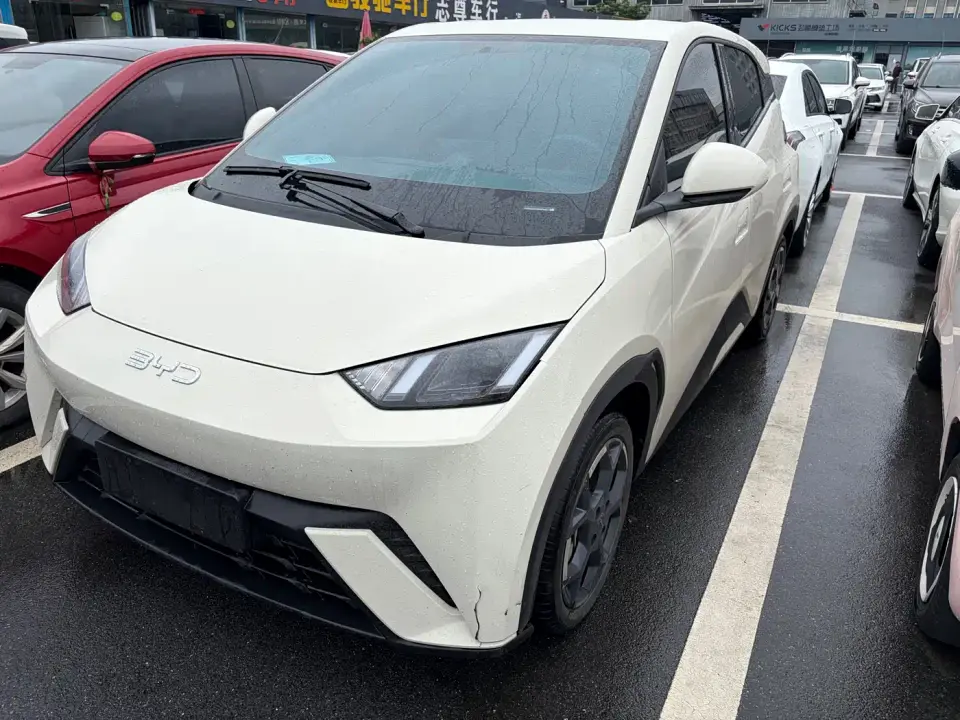 BYD Seagull Glory Edition 305km Freedom Edition 2024