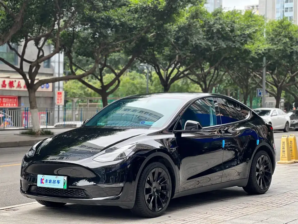 Tesla Model Y Standard Range Rear-Wheel Drive 2021