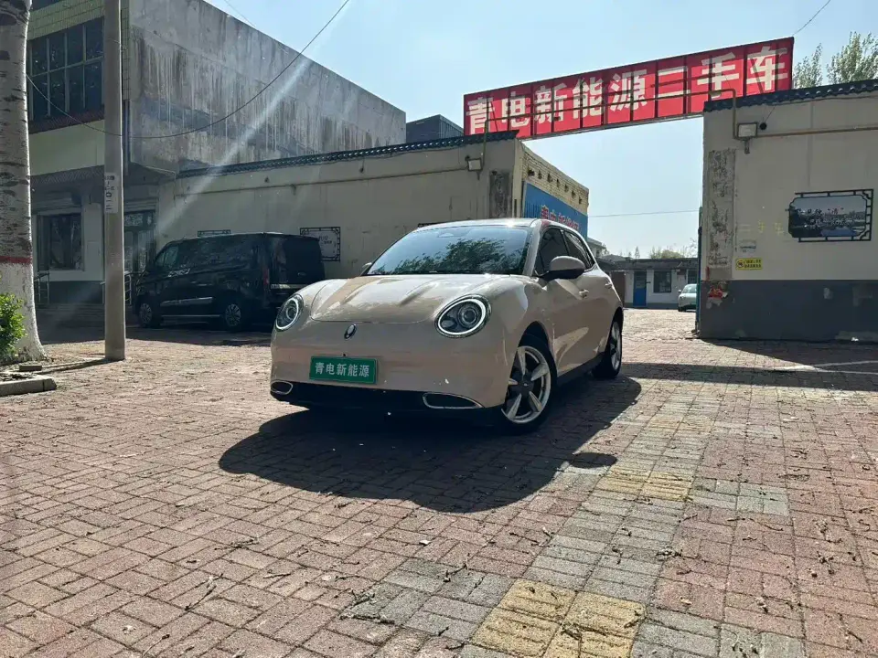 ORA Good Cat 400km Standard Range Luxury LFP 2022