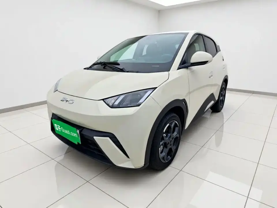 BYD Seagull Glory Edition 305km Freedom Edition 2025