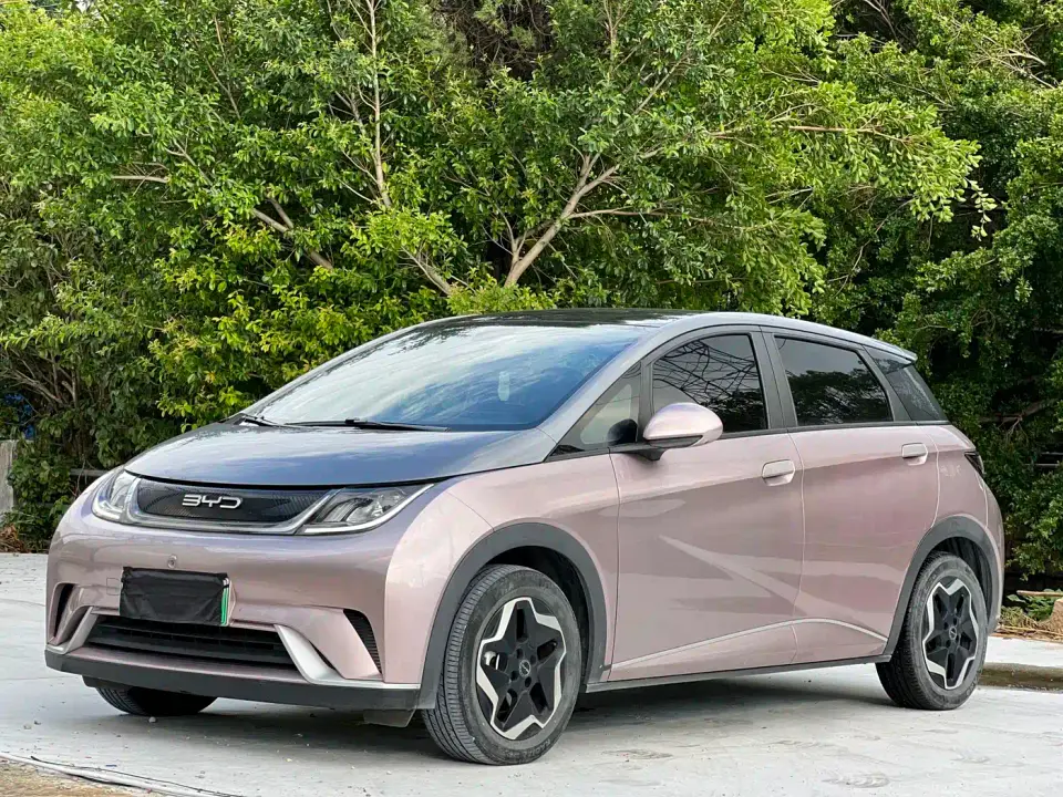 BYD Dolphin Model 405km Fashion Edition 2023