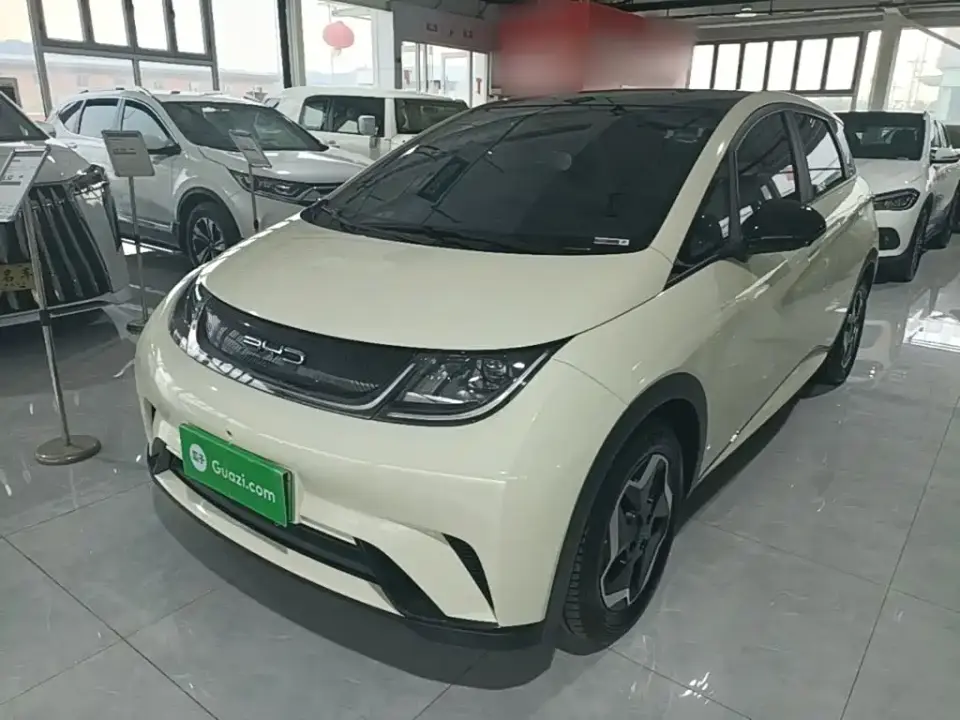 BYD Dolphin Model 405km Fashion Edition 2022