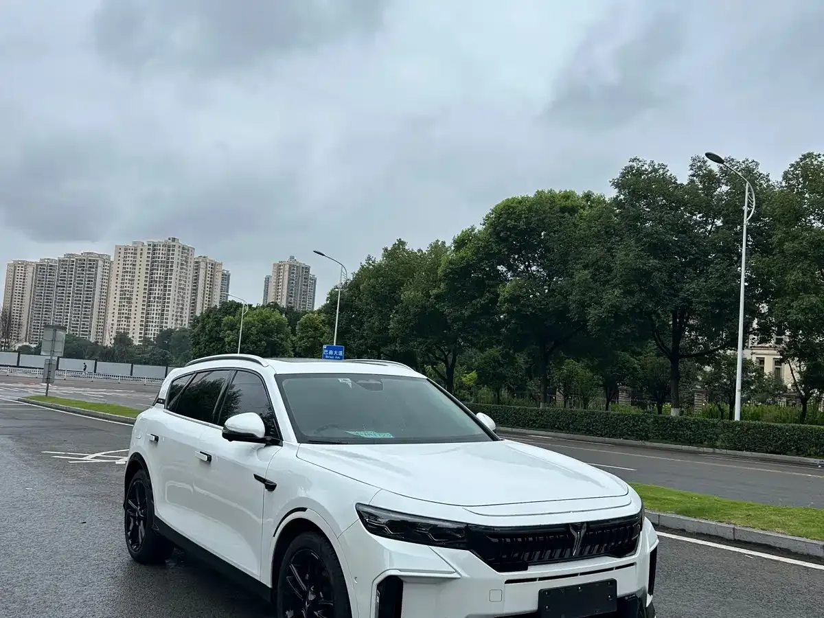 Voyah Auto VOYAH FREE Ultra Long Range Intelligent Driving Edition 2023 — фото 3