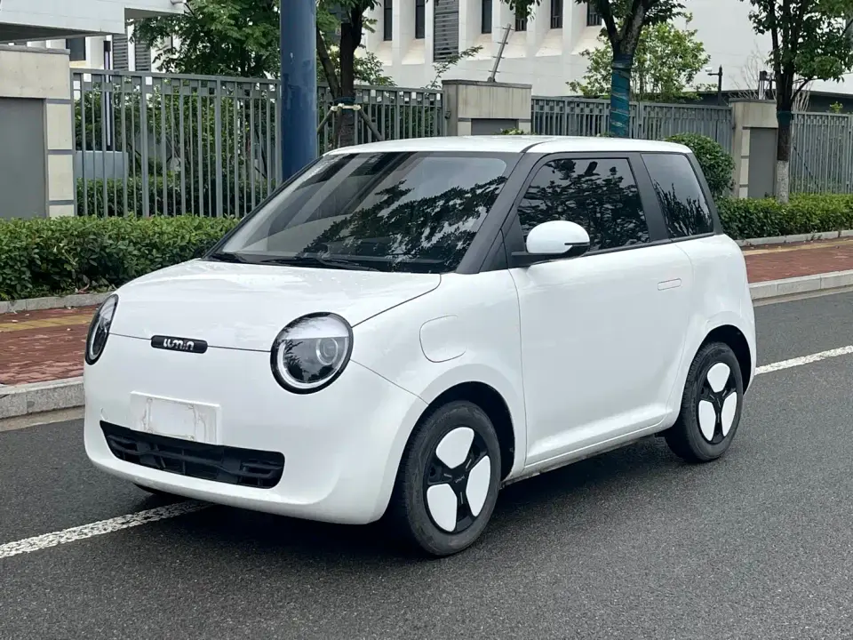 Changan Qiyuan Changan Lumin Model 205km Fragrant Edition 2024