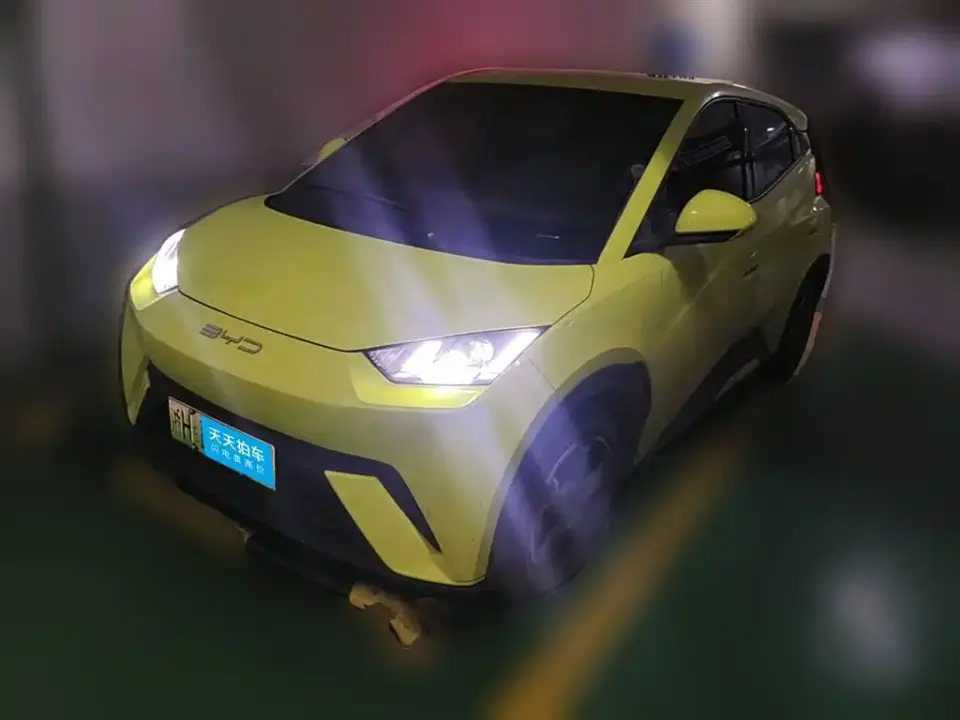 BYD Seagull Freedom Edition 2023