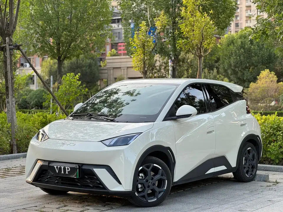 BYD Seagull 305km Freedom 2025