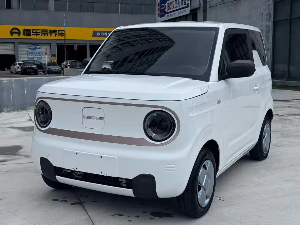 Geely Galaxy Panda Panda Mini 200km Endurance Bear 2023