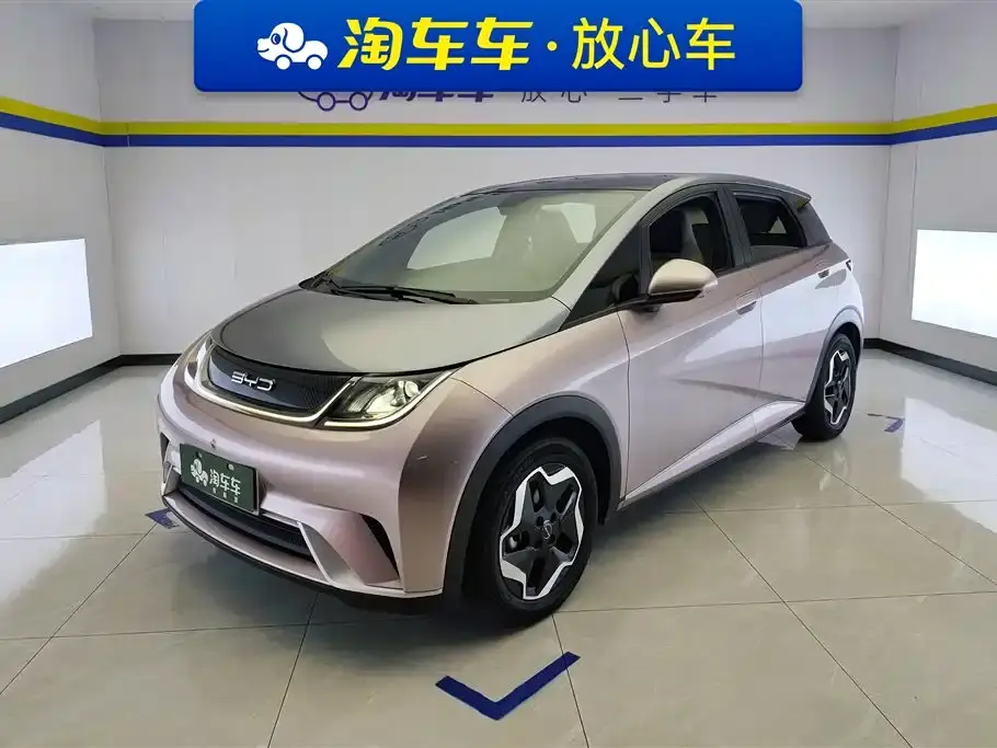BYD Dolphin Model 405km Fashion Edition 2022