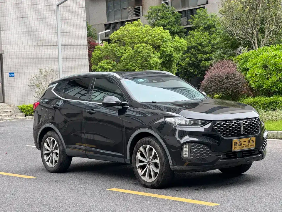 Wey VV6 2.0T 2WD Smart Protection+ 2020