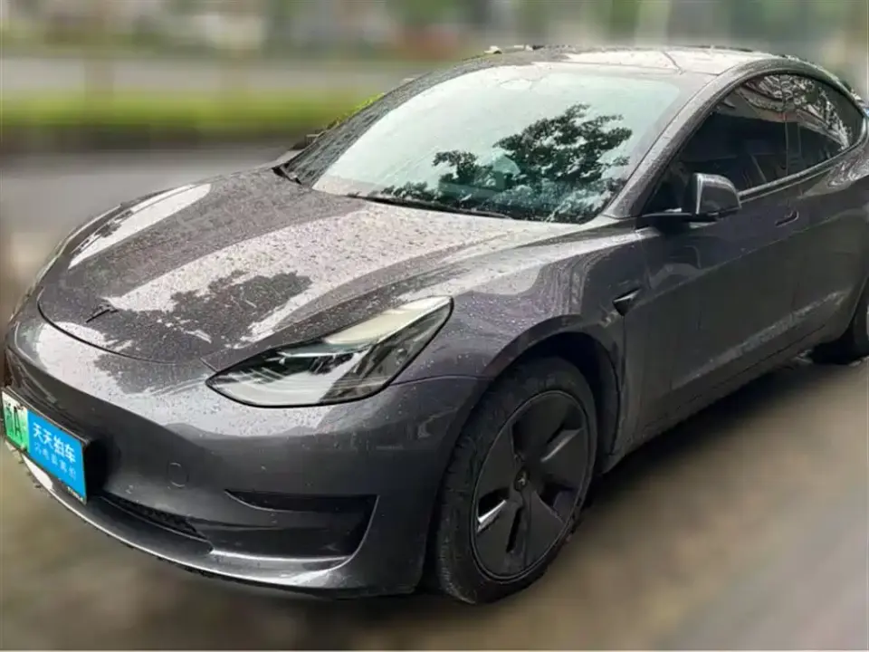 Tesla Model 3 Model Rear-Wheel Drive Version 2022
