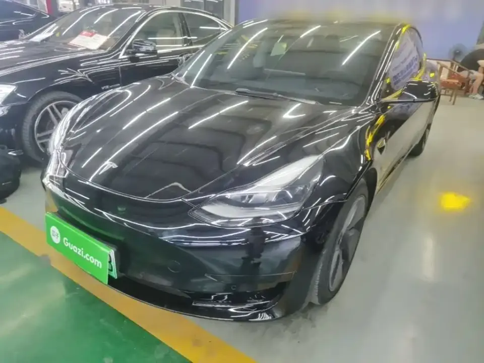 Tesla Model 3 Standard Range Rear-Wheel Drive Upgrade 3D6 2021