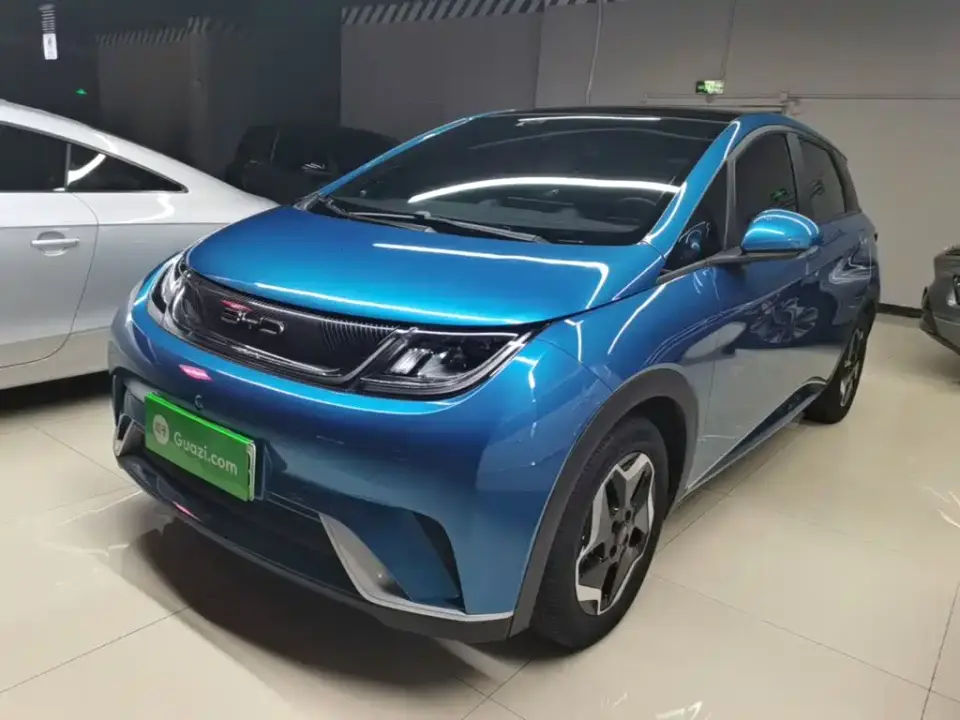 BYD Dolphin Model 405km Fashion Edition 2022