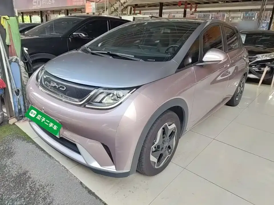 BYD Dolphin Model 405km Fashion Edition 2022