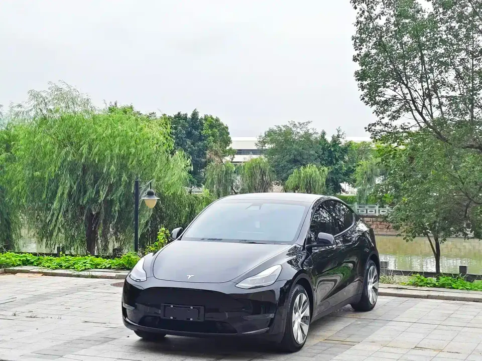 Tesla Model Y Standard Range Rear-Wheel Drive 2021