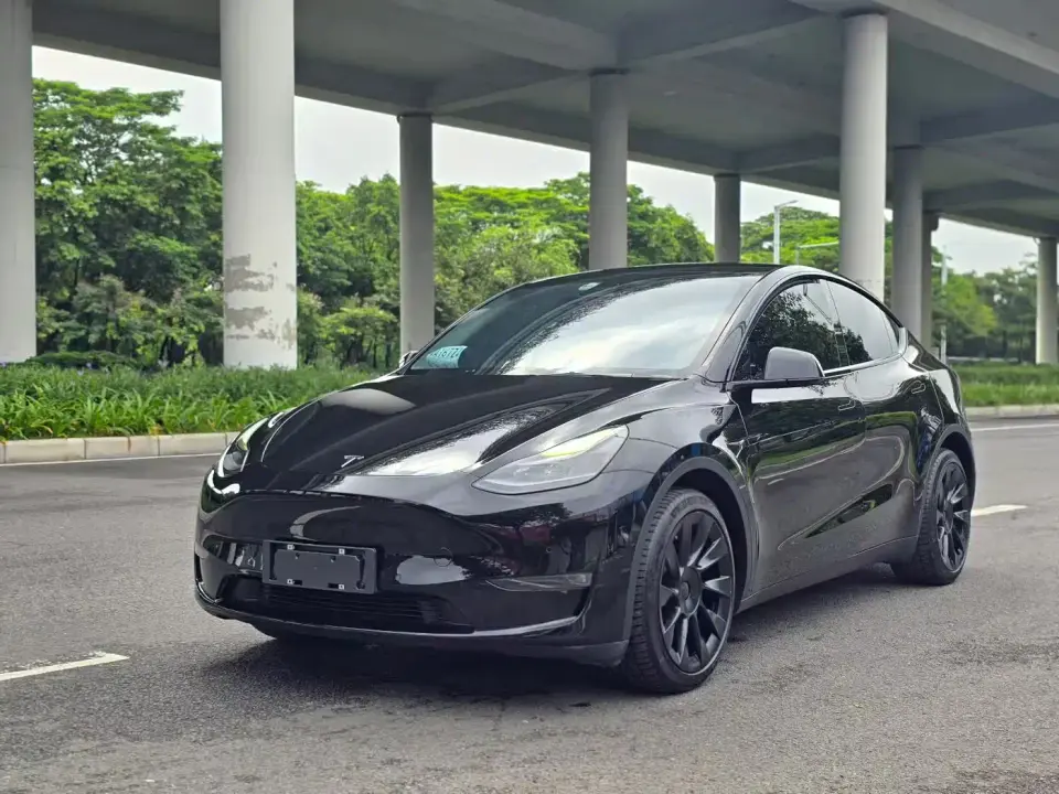 Tesla Model Y Model Long Range AWD 2021