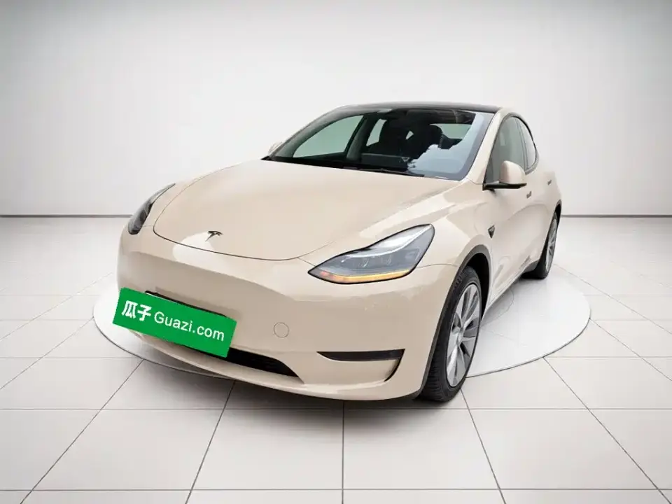 Tesla Model Y Standard Range Rear-Wheel Drive 2021