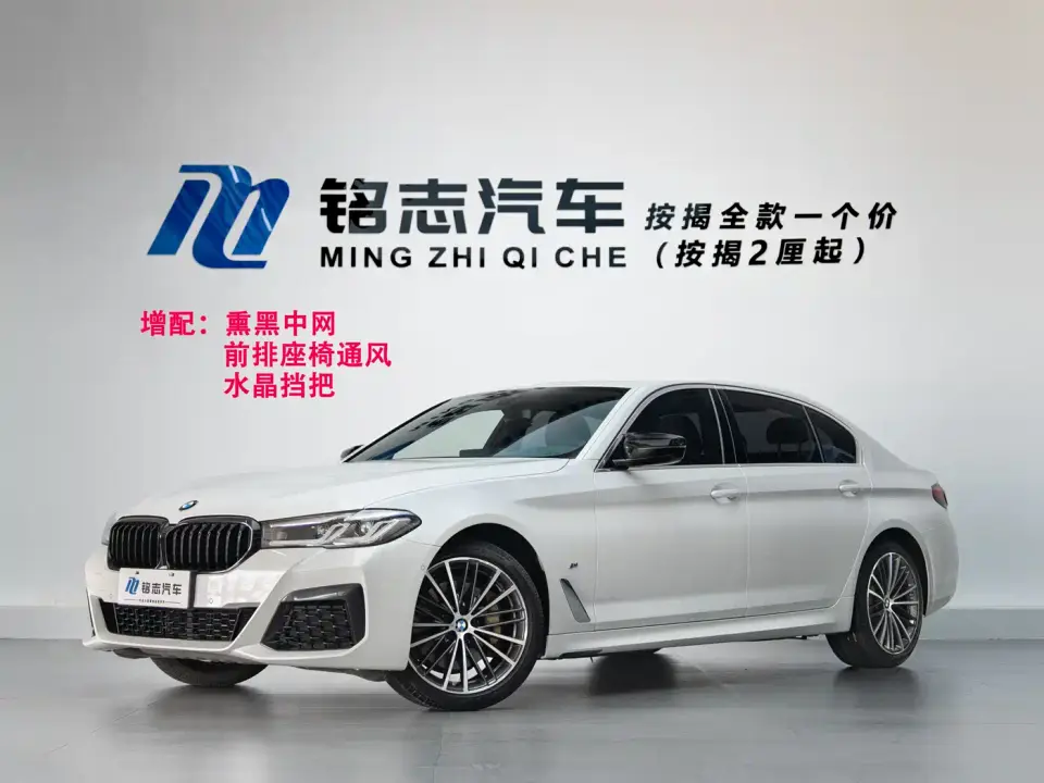 BMW 5 Series 530Li Leading M Sport Package 2021
