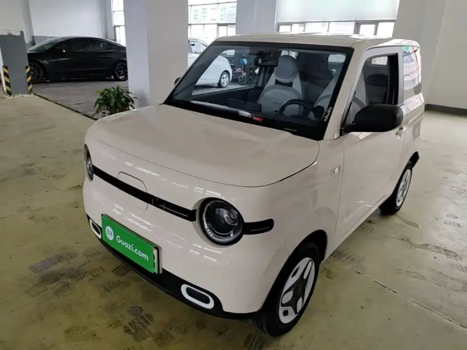 Geely Galaxy Panda Panda mini 210km Vitality Bear 2026