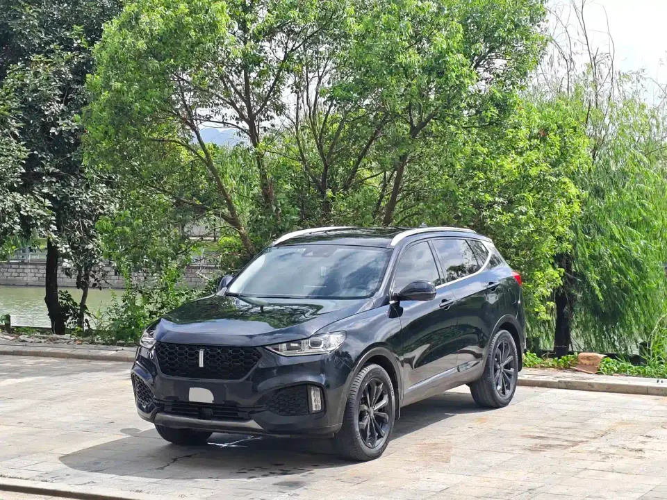 Wey VV6 2.0T 2WD Super Luxury China V 2019