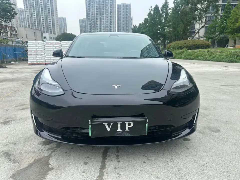 Tesla Model 3 Model Rear-Wheel Drive Version 2022