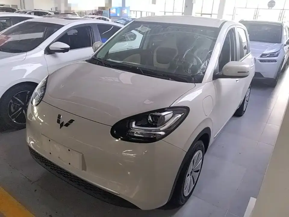 Wuling Motors Wuling Bingo 203km Lite Edition 2024