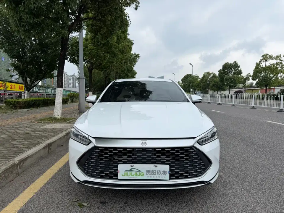BYD Qin PLUS Champion Edition DM-i 120KM Surpassing Type 2023