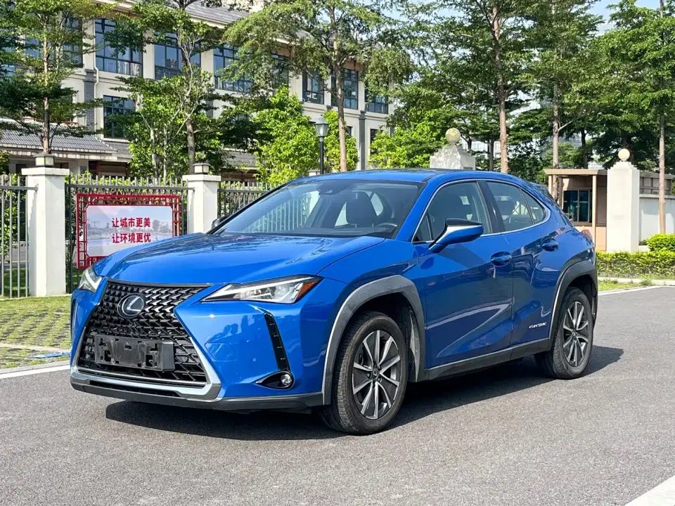 Lexus UX Electric 300e Pure Yue Edition 2020