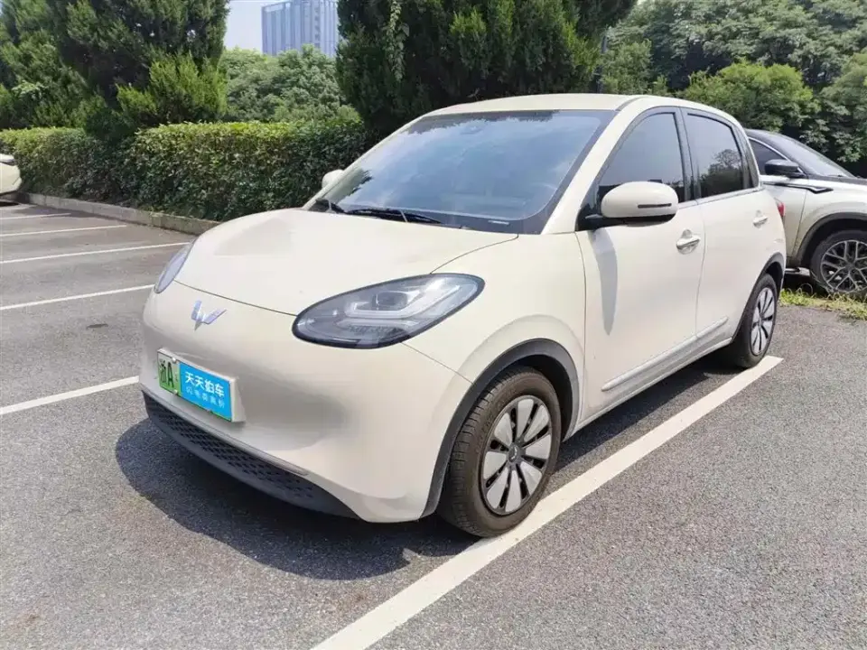 Wuling Motors Wuling Bingo 203km Comfort Version 2023
