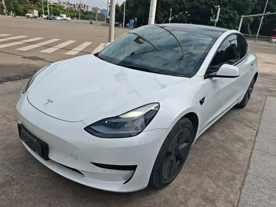 Tesla Model 3 Standard Range Rear-Wheel Drive Upgrade 3D6 2021