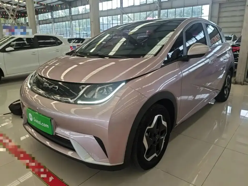 BYD Dolphin Model 405km Fashion Edition 2022