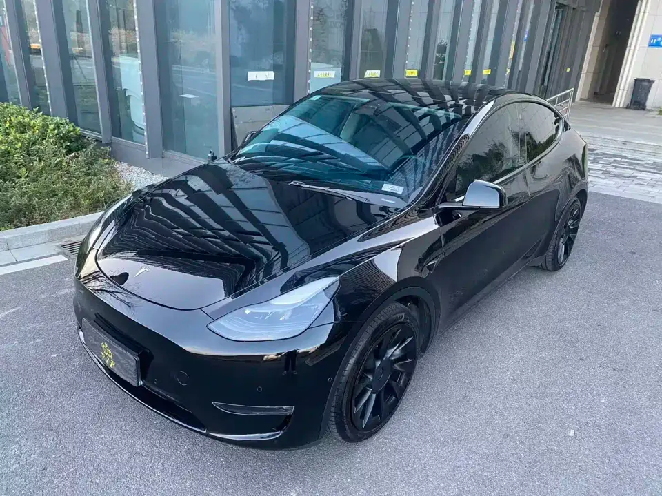 Tesla Model Y Rear-Wheel Drive Version 2021