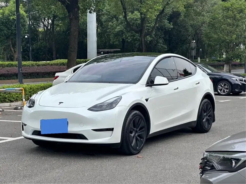 Tesla Model Y Long Range AWD 2024