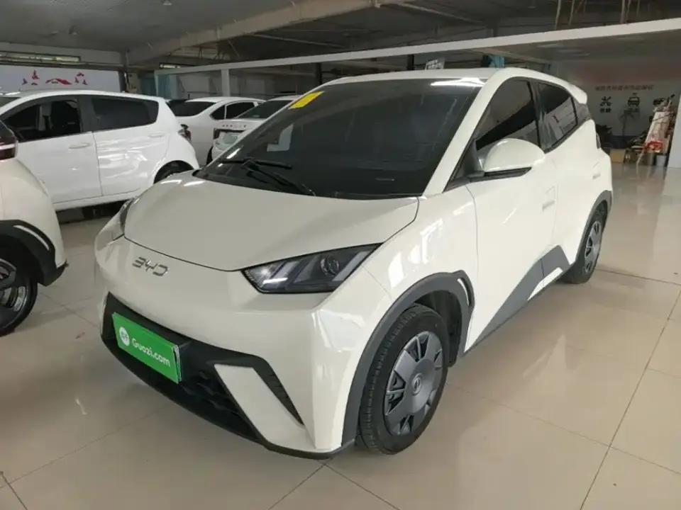 BYD Seagull Glory Edition 305km Vitality Edition 2024