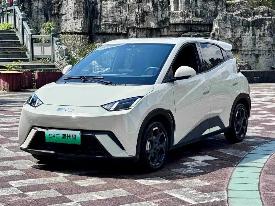 BYD Seagull 305km Freedom 2024