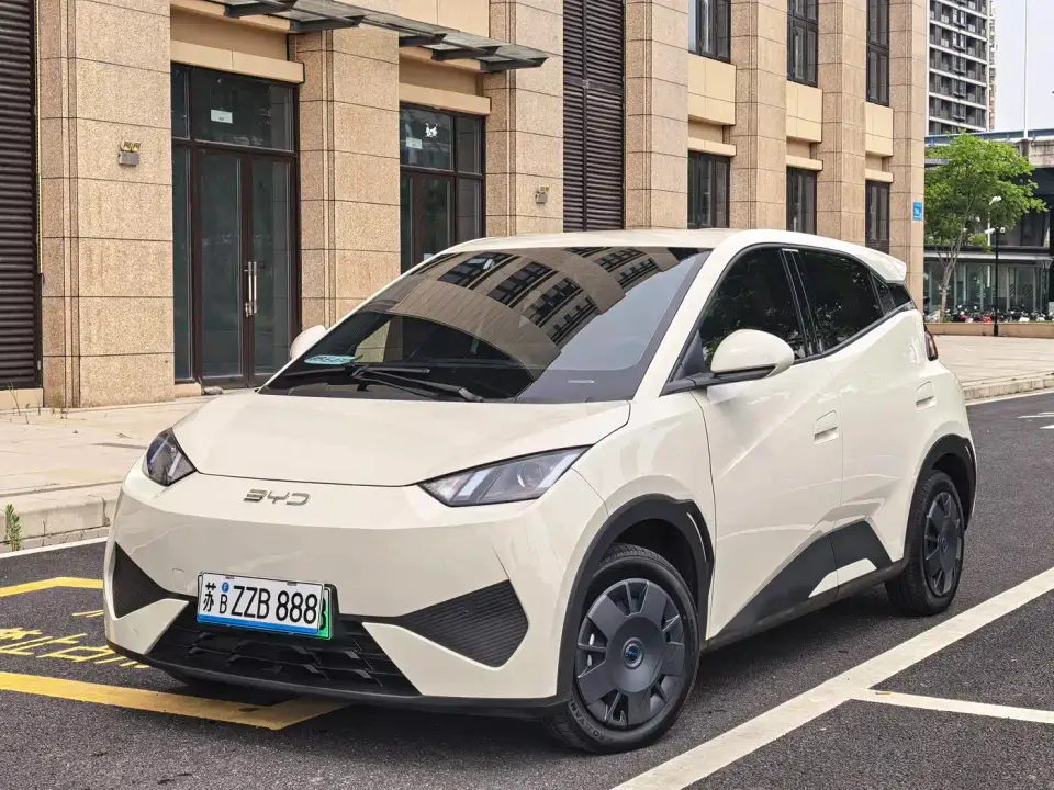 BYD Seagull Smart Drive Edition 305km Vitality Version 2025