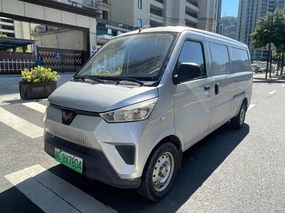Wuling Motors Wuling EV50 Model Pure Electric Logistic Van with Peng Hui Heating Battery 2020