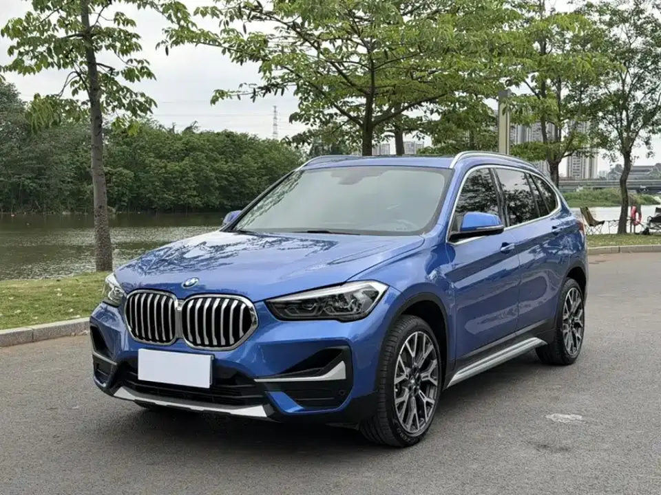 BMW X1 xDrive25Li Premium Edition 2020