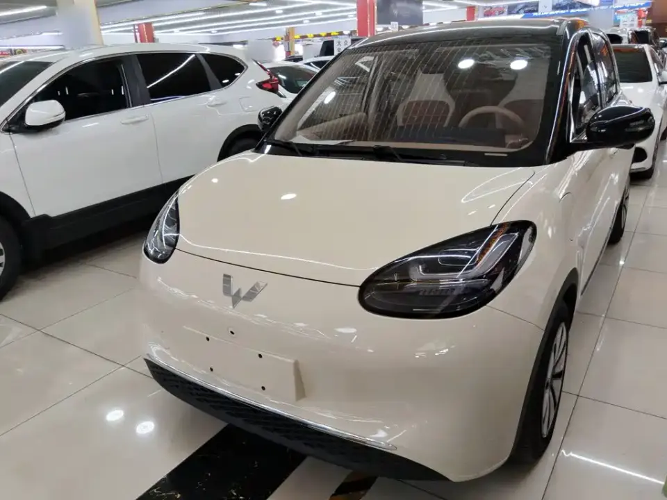 Wuling Motors Wuling Bingo Model 333km Smart Premium 2025