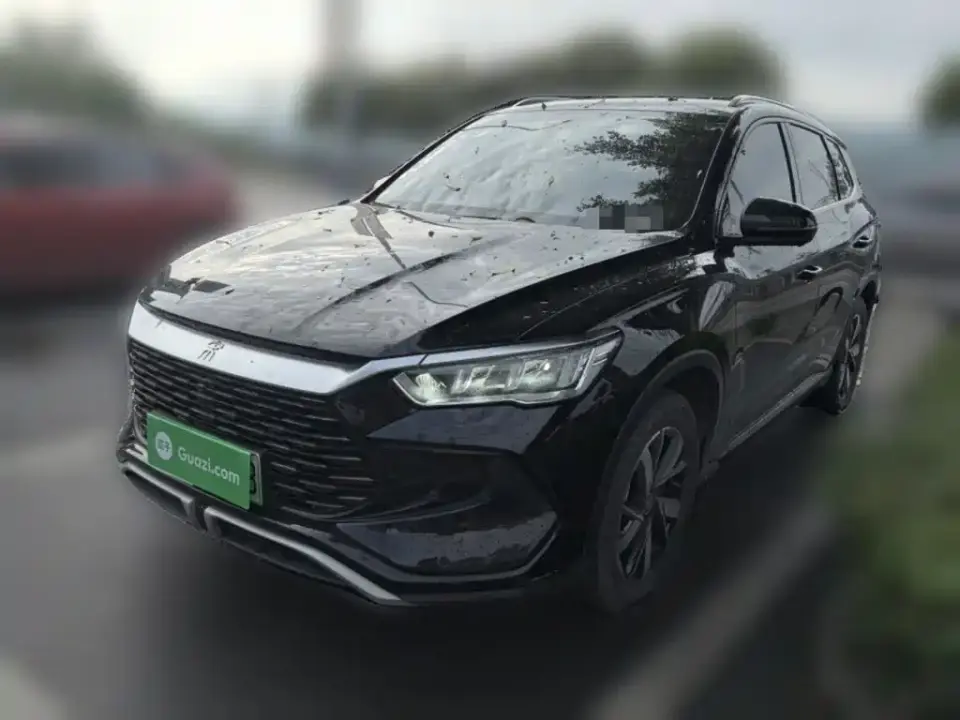 BYD Song Pro New Energy Glory Edition DM-i 71KM Pilot 2024