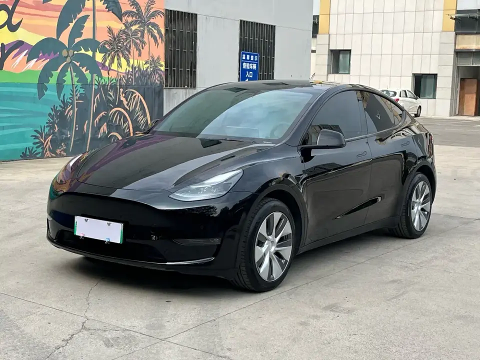 Tesla Model Y Model Long Range AWD 2022