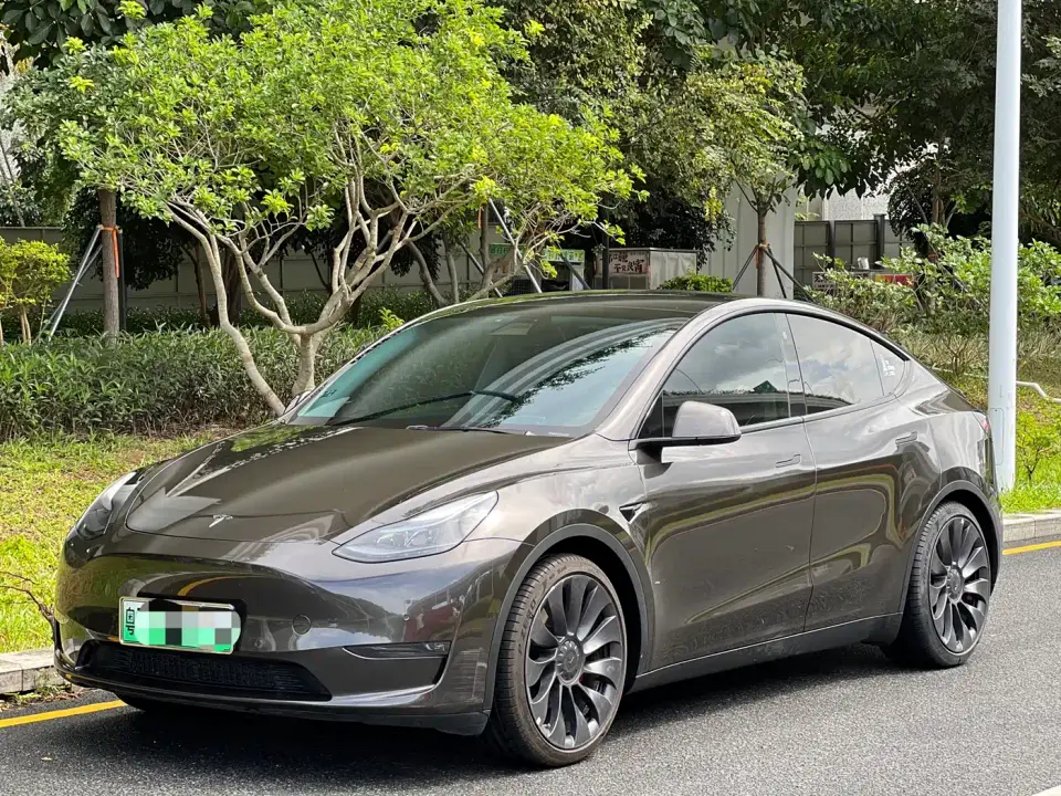 Tesla Model Y Performance High-Performance All-Wheel Drive Version 2022
