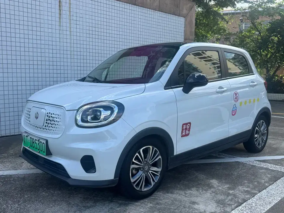 Leapmotor T03 400 Standard Version 2020