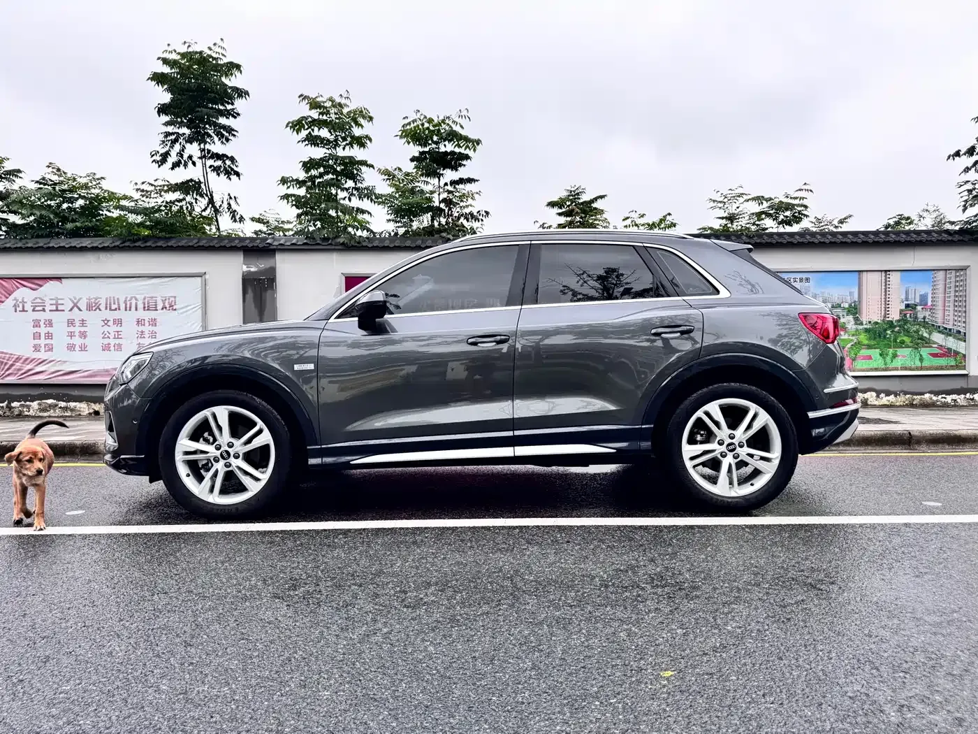 Audi Q3 35 TFSI Fashion Elegance 2022 — фото 8