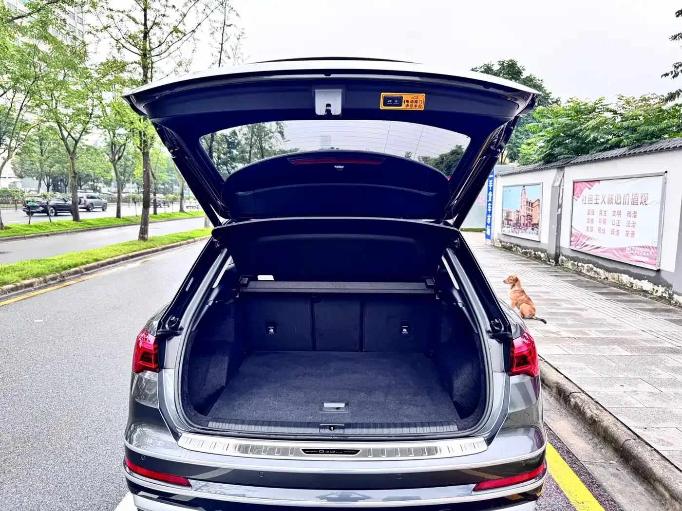 Audi Q3 35 TFSI Fashion Elegance 2022 — фото 18