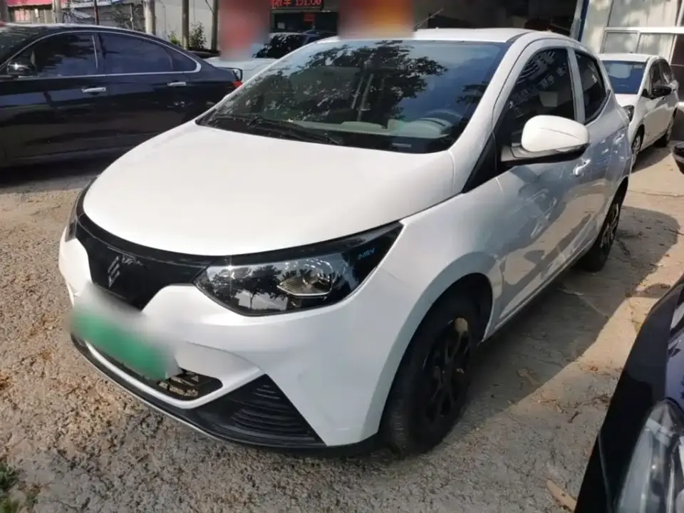 JMCG New Energy Little Kirin Model Lucky Edition 201km Comfort 2024