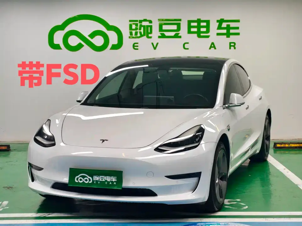 Tesla Model 3 (Import) Long Range RWD Version 2019