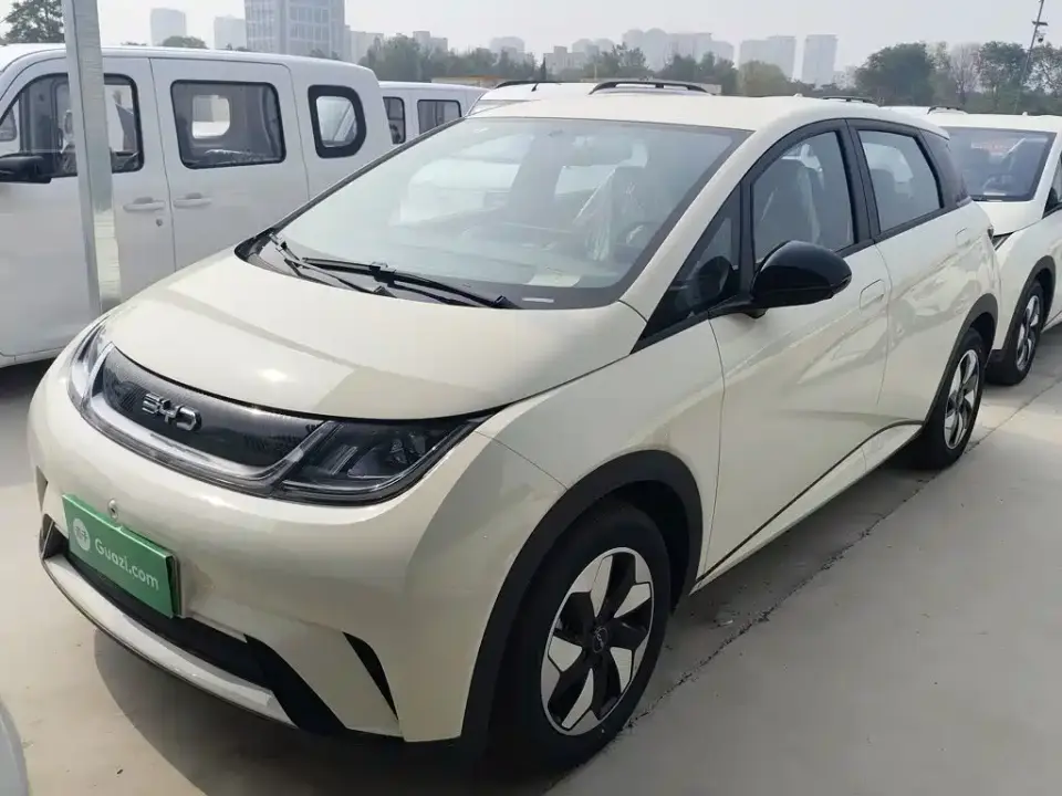 BYD Dolphin 420km Freedom Edition 2026