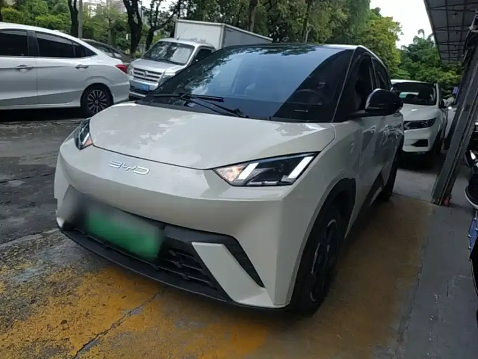 BYD Seagull Glory Edition 305km Freedom Edition 2024
