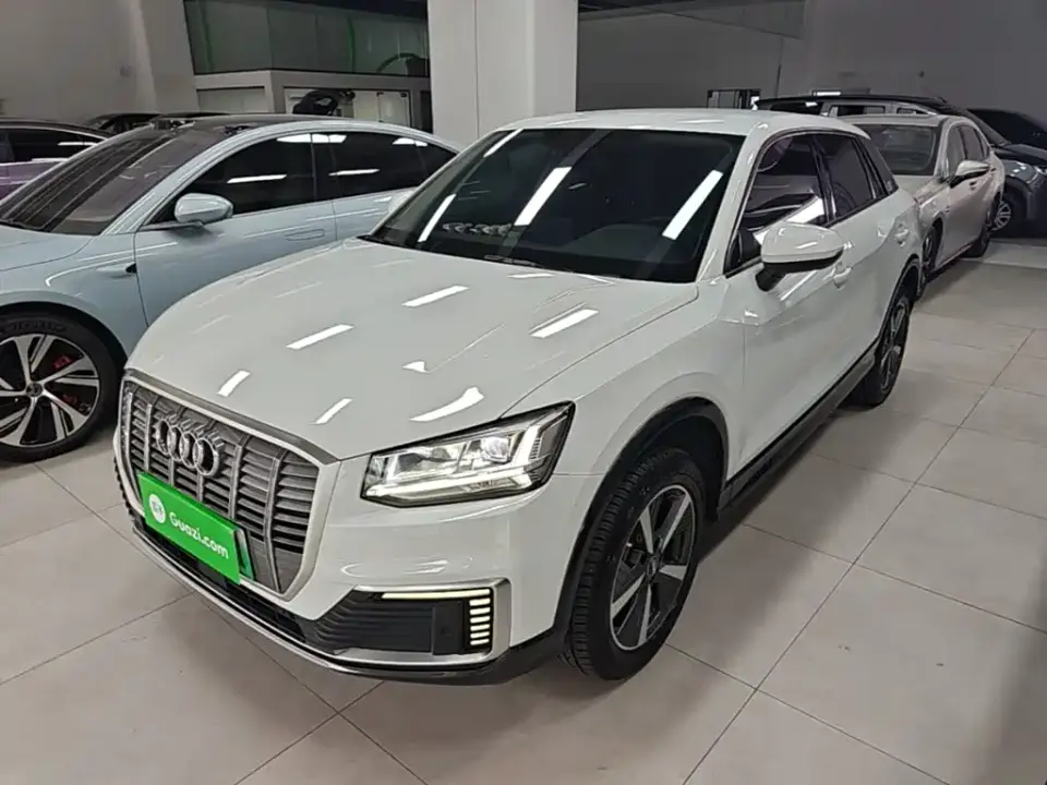 Audi Q2L e-tron Q2L e-tron Pure Electric Smart Cool Edition 2021